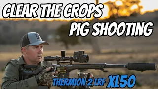 Clear the Crops || Feral Pig & Fox Shooting || 308Win Rifle & Thermion 2 LRF XL50 || Wedgetail Hawk