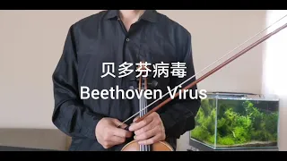 贝多芬病毒（Beethoven Virus）