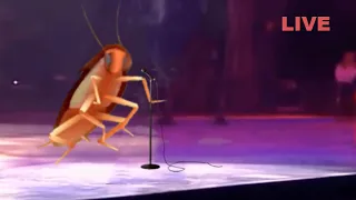 Dancing roach | Live in concert