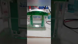 SDS-PAGE (sodium dodecyl sulfate–polyacrylamide gel electrophoresis) Technique