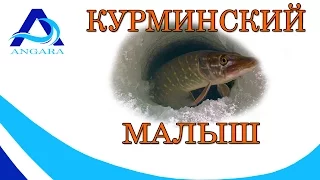 Курминский малыш Иркутского ВДХР