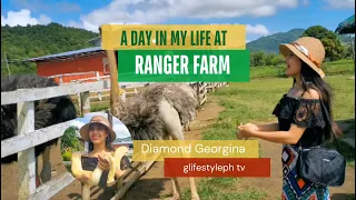 RANGER FARM SARA ILOILO: Beautiful day at the Farm | GLIFESTYLEPH TV