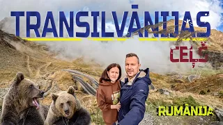 Transilvānija,Rumānija,fantastiski skati, satikām lāčus, 2.sērija
