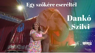 Dankó Szilvi - Egy szőkére cseréltél (hivatalos videoklip 2019)