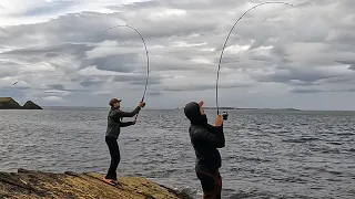 BIGGEST Pollack Caught From Shore on YouTube?? | Lure Fishing UK