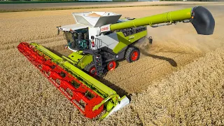 New Claas Lexion 8700 Terra Trac MY2023 | Wheat harvest 2023 | Novifarm | JD, NH, Fendt