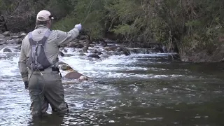 Gavin Hurley fly fishing in the Swampy river in NSW...