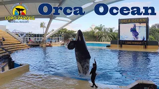 Тенерифе, Лоро Парк, Шоу Косаток  |   Tenerife, Loro Park, Killer Whale Show