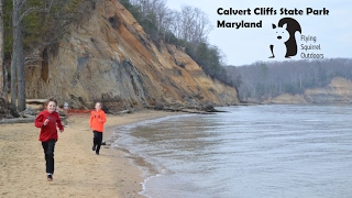 Calvert Cliffs State Park, MD