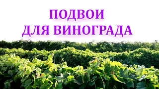 ПОДВОЙ ДЛЯ ВИНОГРАДА , Кобер 5ББ, СО4 , и зачем делают привитые саженцы винограда?!