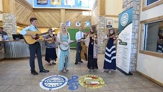 The Petersen Family Bluegrass Band