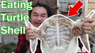 Eating Turtle Shell Soup from Soft Shell Turtle