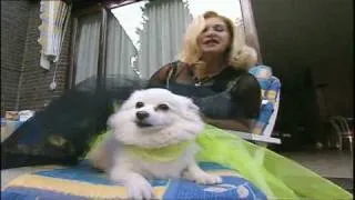 Man bijt hond: Dutch Madonna