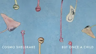 Cosmo Sheldrake - But Once A Child