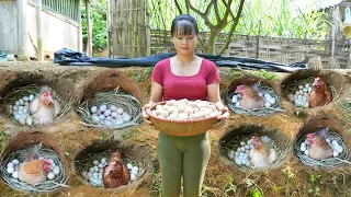 FULL VIDEO: Harvesting Ducks and Cook Whole Fried Duck - Harvest Chicken Eggs In Hole