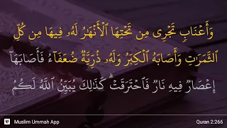 Al-Baqarah ayat 266