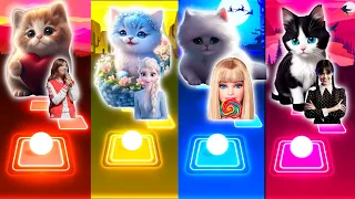 Cute Cat Dance | Fifty Fifty Cupid | Elsa Let it Go | Barbie | Wednesday Addams Bloody Mary