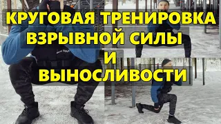 Круговая тренировка на взрывную силу и выносливость. Прокачай взрывные ноги за 20 минут дома.