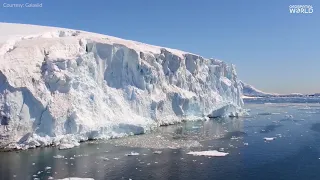 World's largest iceberg breaks off from Antarctica