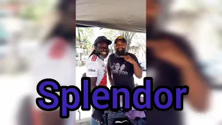 Cachaca Splendor Disconcert Papacho Rolon