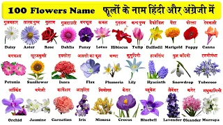 100 Flowers name in English and Hindi with Pdf | फूलों के नाम | Flowers Name With Pictures |