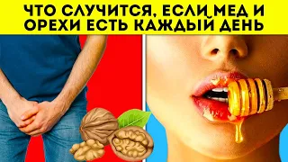 Каждый должен знать! Мёд с орехами запускает процесс полного...