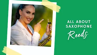 All About Saxophone Reeds @Felicitysaxophonist #tutorial #saxophone #reeds