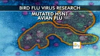 The Early Show - U.S. asks scientists to censor bird flu research