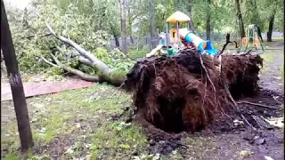 Ураган в Москве 29.05.2017г.