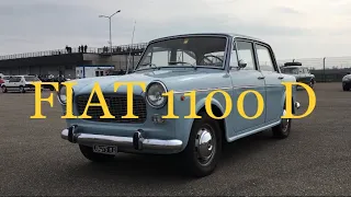 1964 FIAT 1100 D ( La storia completa/Full story ITA/ENG)