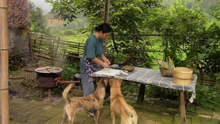 女子住山中老屋自给自足，吃自种的菜，不打农药不施化肥，好向往