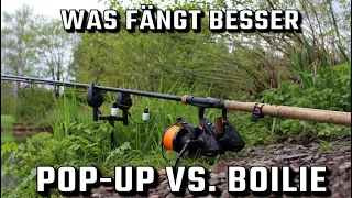 Pop-Up vs. Boilie🎣Was fängt besser?