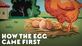 How the Egg Came First