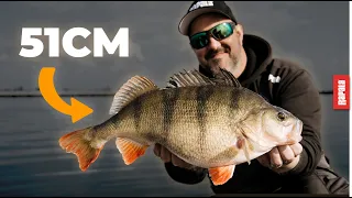 A CrushCity day - Chasing big Perch