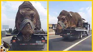 10 Dinosaurier, die mit der Kamera im echten Leben gefangen wurden