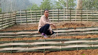 Complete Vegetable Garden | Woven Bamboo Fence,Growing Vegetables | Dang Thi Mui