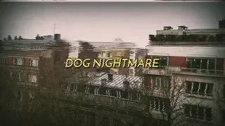 Jack Stauber - Dog Nightmare (sub español/lyrics)