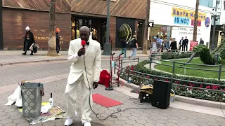 Elvis Presley, Blue suede shoes - busking on the streets of Los Angeles / Santa Monica, USA