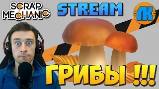 Scrap Mechanic  STREAM  ГРИБЫ  ТАКОГО ВЫ ЕЩЁ НЕ ВИДЕЛИ В СКРАП МЕХАНИК !!!