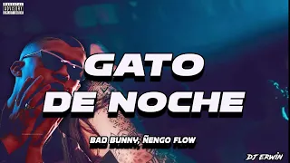 GATO DE NOCHE (Remix) Bad Bunny, Ñengo Flow - DJ Erwin