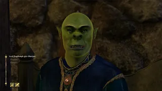 The Most Useless Dialogue In Oblivion