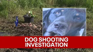 Kaufman County sheriff won't release outcome of investigation after deputy shoots family dog