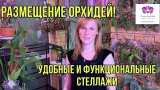 Размещение орхидей! Удобные и функциональные стеллажи