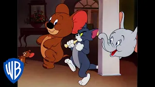 Tom et Jerry en Français | Jerry et Jumbo s'associent | WB Kids