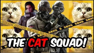 The Cat Squad (We are not furries I swear)