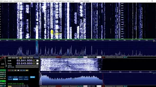 Отличный сигнал у R3BU + интересный разговор радиолюбителей об антеннах, радиосвязь, SSB SDR