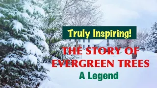 STORY OF EVERGREEN TREES | Inspiring Stories | A Legend