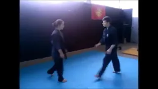Ninjutsu techniques