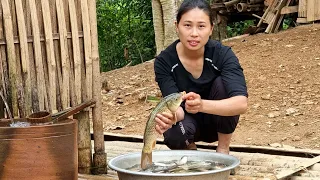 FULL VIDEO: Gardening- Marinating Fish- Making Sticky Rice- Building Pigeon House | Dang Thi Mui