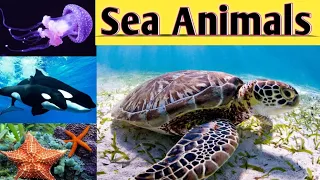 Sea Animals || Learn Aquatic Animals Name || Sea Animals Name for kids